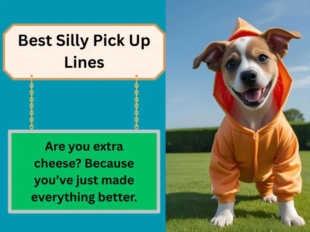 Best Silly Pick Up Lines