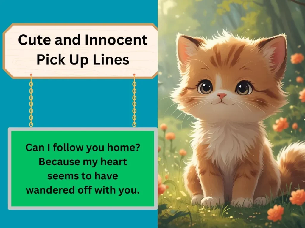 Cute and Innocent Pick Up Lines