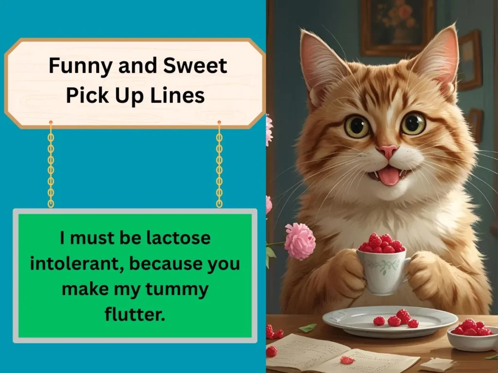 Funny and Sweet Pick Up Lines