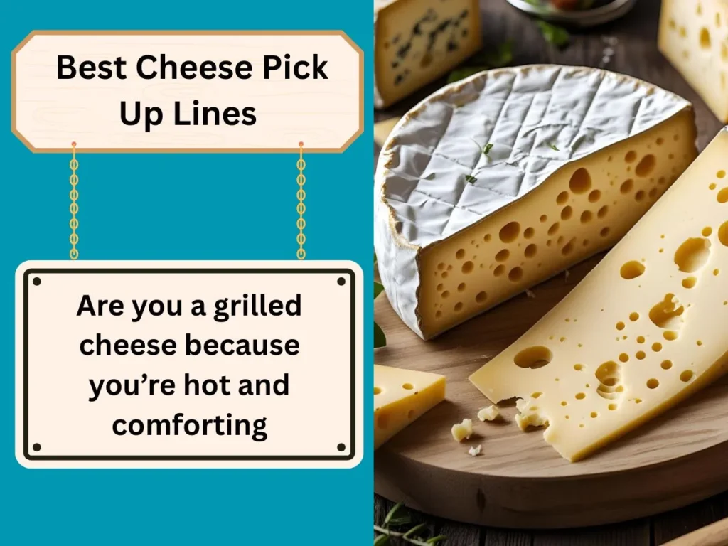Best Cheese Pick Up Lines