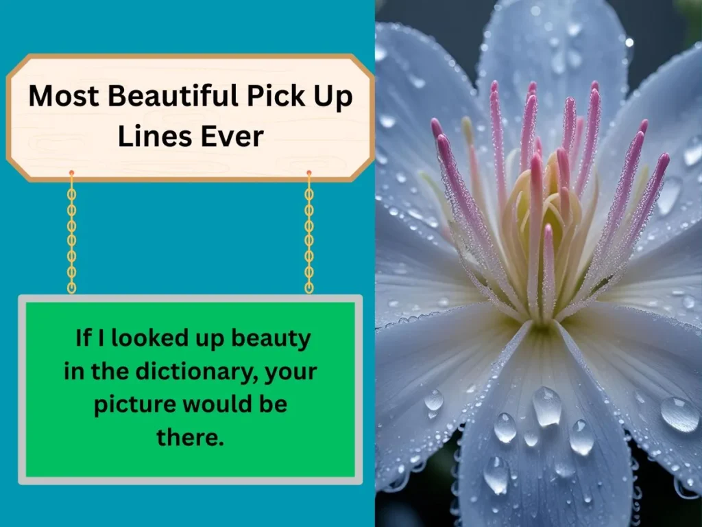 Most Beautiful Pick Up Lines Ever