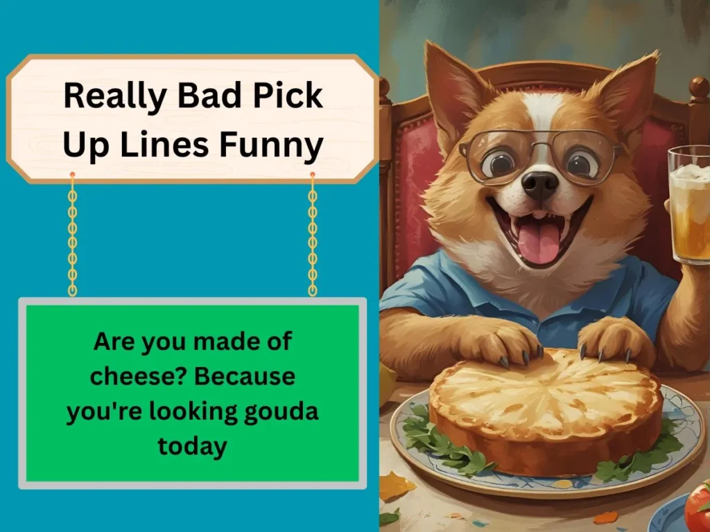 Really Bad Pick Up Lines Funny