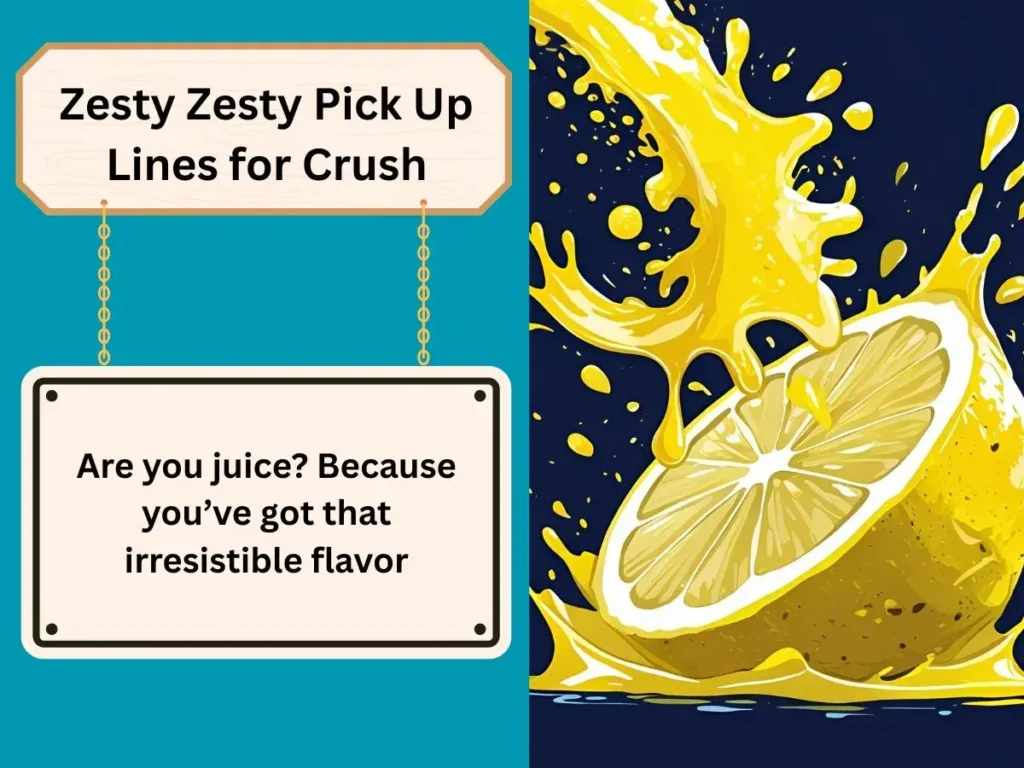 Zesty Zesty Pick Up Lines for Crush